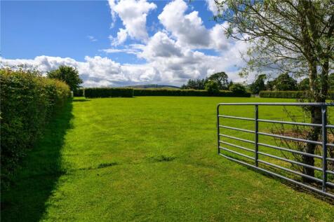 Paddock