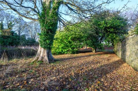 Grounds