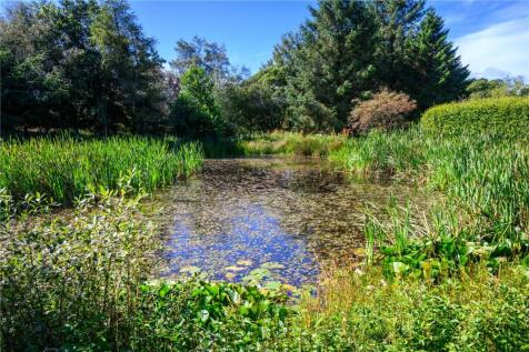 Pond