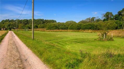 Drive &amp; Grassland