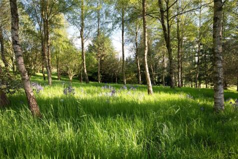 Woodland