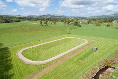 Show Field