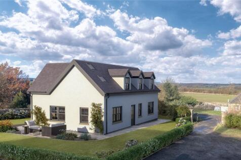 Rear Elevation