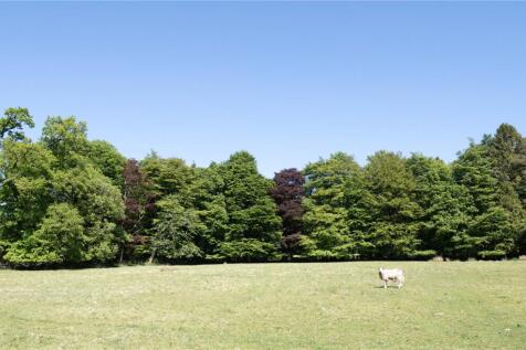 Field