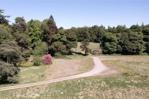 Old House Site