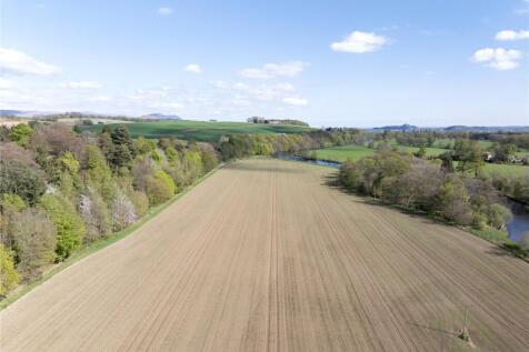 Field