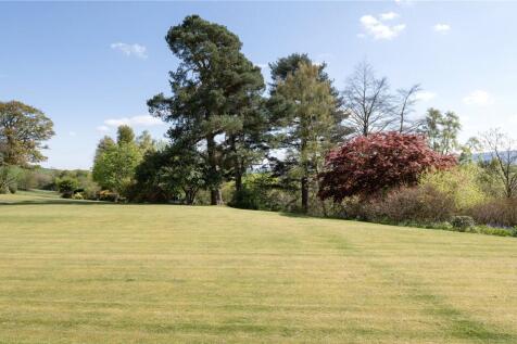 Lawn