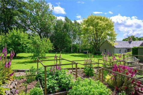 Kitchen Garden
