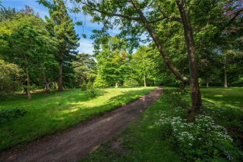 Woodland