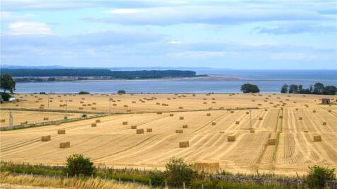 Eden Estuary