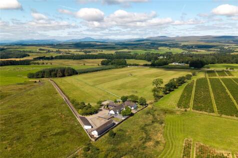 Shandale Aerial