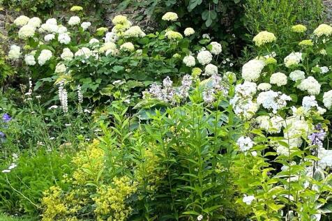 Herbaceous Border