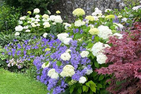 Herbaceous Border