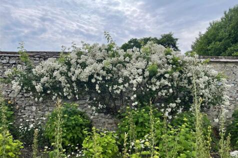 Walled Garden Roses