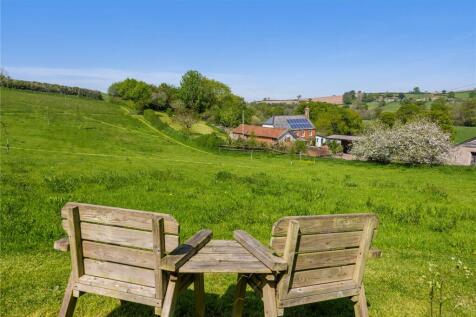 Wildflower Meadow