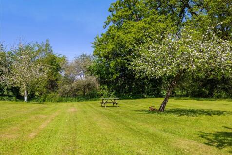 Orchard
