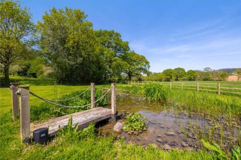 Wildlife Pond