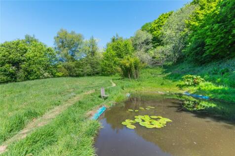 Wildlife Pond