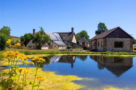 Pond