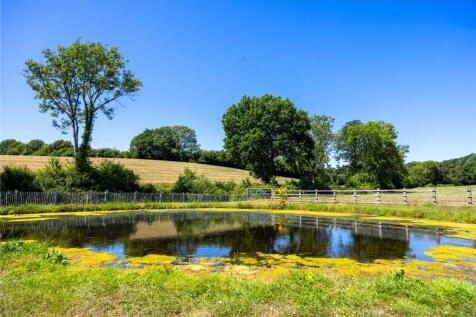 Pond