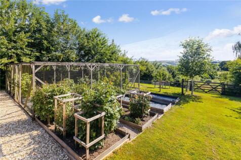 Vegetable Patch