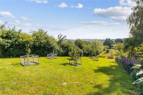 Orchard