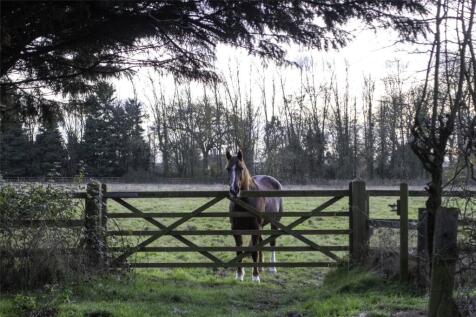 Paddocks