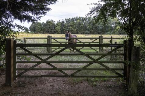 Meadows