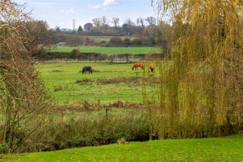 Water Meadow View