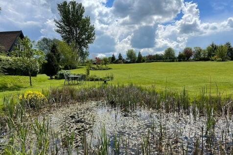 Pond