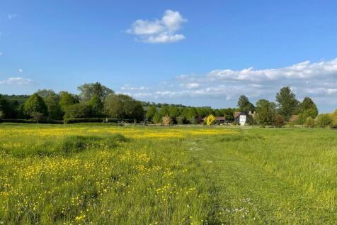 Meadow