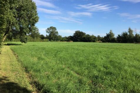 Meadow
