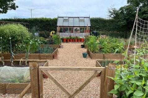 Vegetable Garden