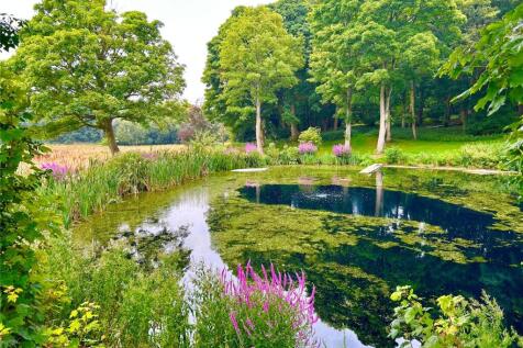 Pond