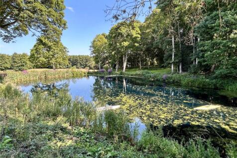 Pond
