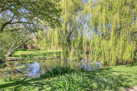 Pond