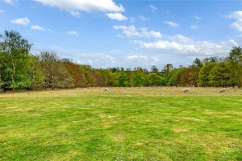 Meadow