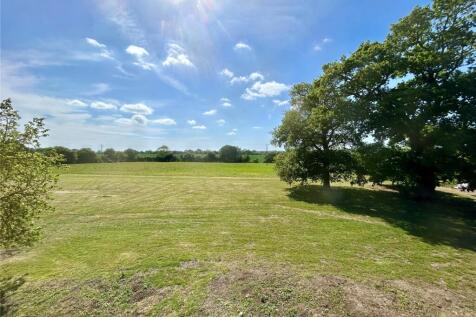 Field