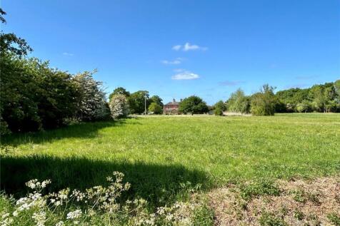 Meadow