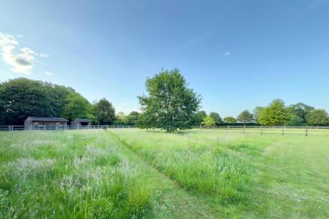 Meadow