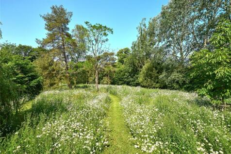 Meadow