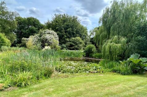 Pond
