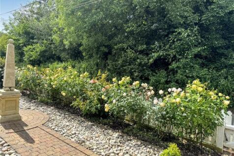 Rose Garden