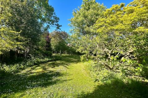 Orchard