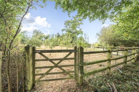 Orchard
