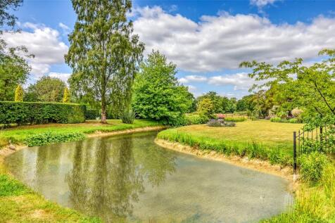 Pond