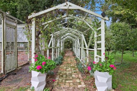 Rose Pergola
