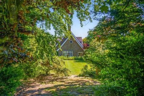 View Of Garden