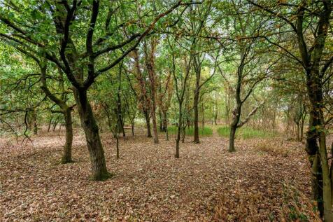 Woodland