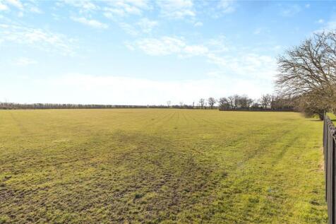 Field